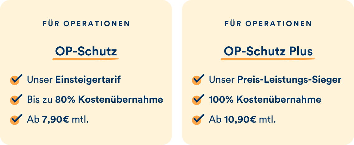 Die petolo Katzen-OP-Tarife im Überblick