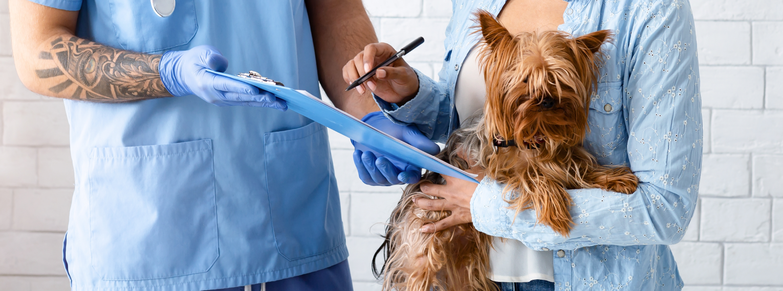 Ein Frauchen hält ihren Hund auf dem Arm und füllt ein Formular beim Tierarzt aus.