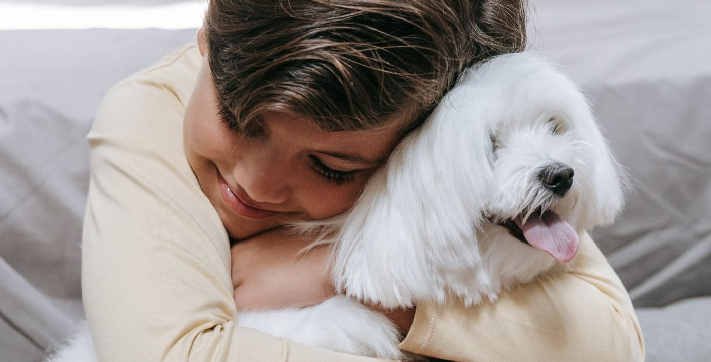 Ein Kind umarmt seinen Therapiehund.