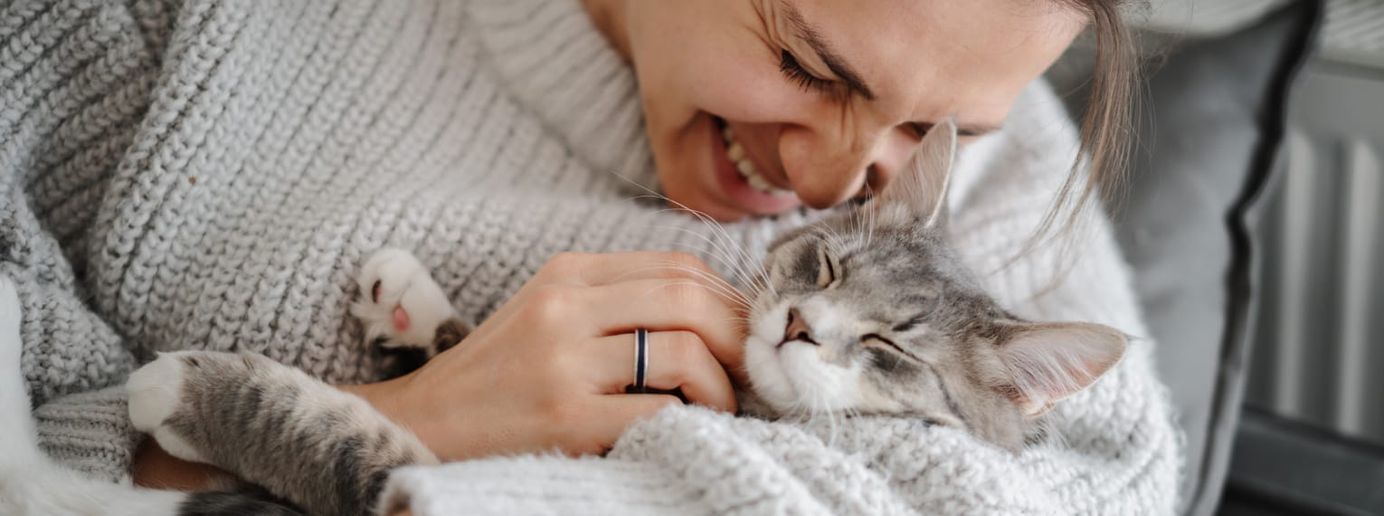 Eine Katze wird von ihrer Besitzerin liebkost.