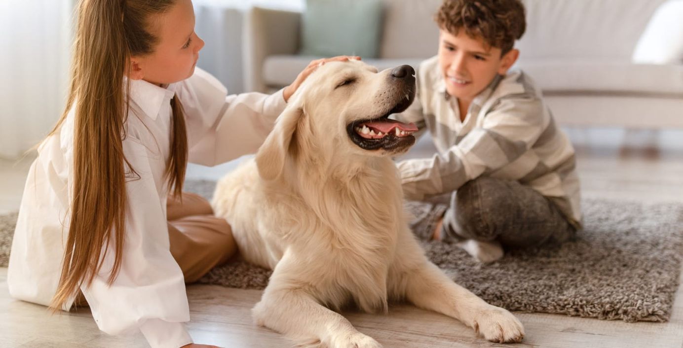 Ein Labrador lässt sich von Kindern streicheln.