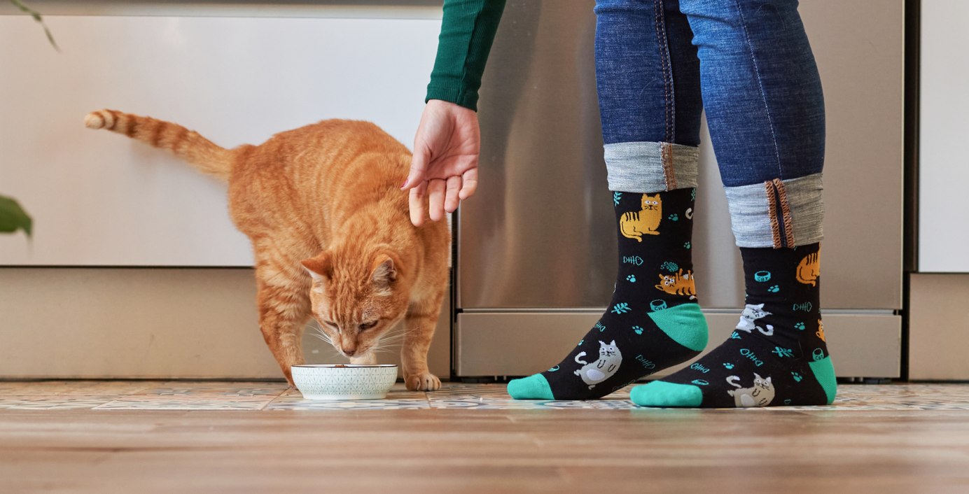 Eine Katze frisst in der Küche.