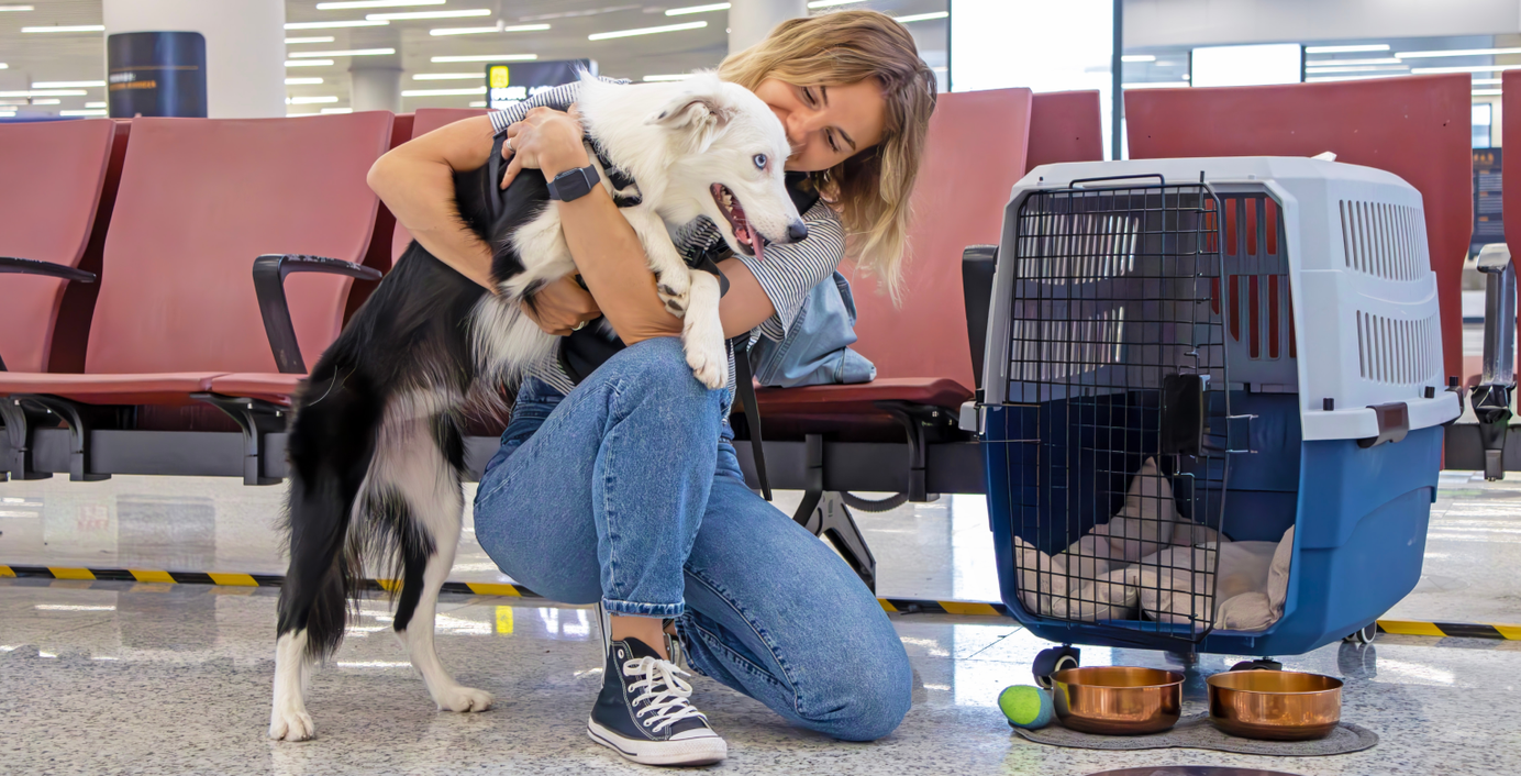Ein Hund mit Reisetasche am Flughafen.