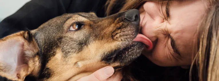 Hund schleckt seiner Besitzerin über das Gesicht