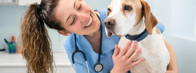 Hund mit lächelnder Tierärztin
