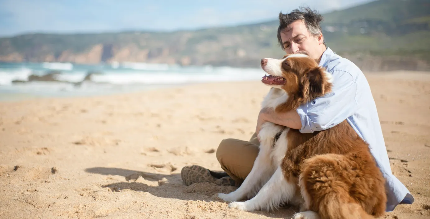 Ein Hund sitzt mit seinem Herrchen am Meer.