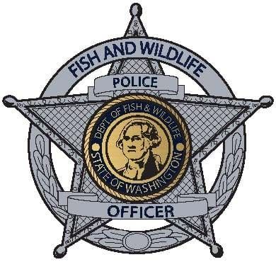 WDFW Seeks Tips After Elk Poaching, Antler Removal in Cowlitz County