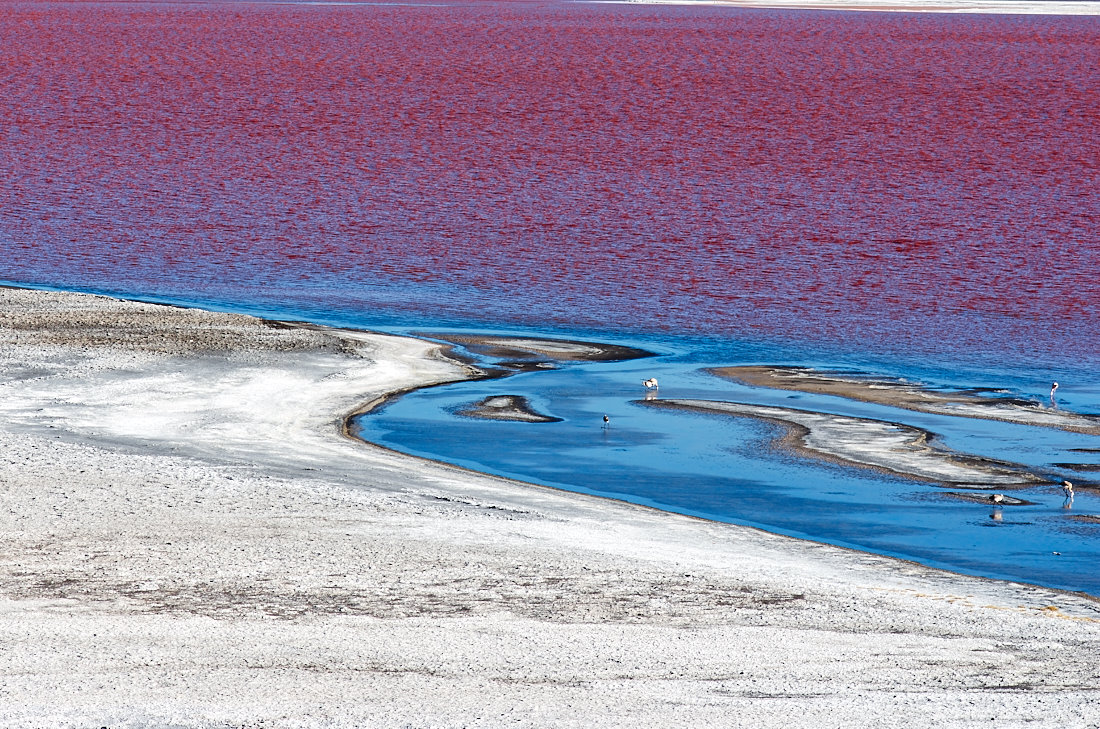 Uyuni[1]-Uyuni-[20150512@Uyuni]