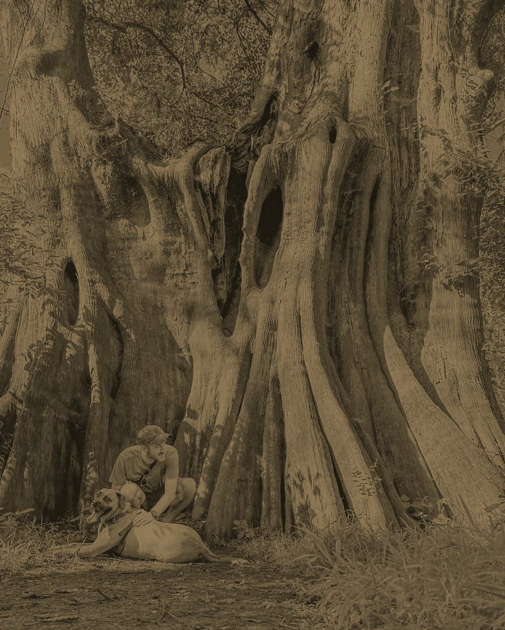 Welcome to Southlands