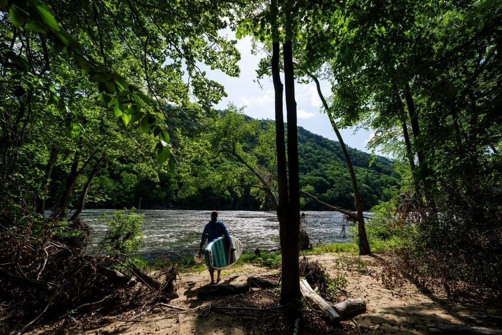 A Letter from Hot Springs