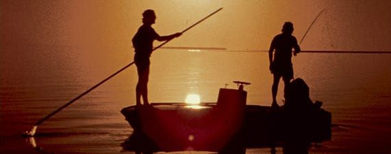 Has anyone seen the literary outdoorsman?