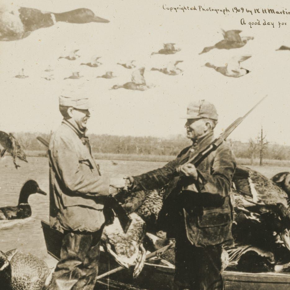 Hunting Stories (and a Self)
