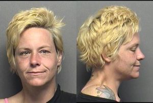 Saline County Jail Booking Activity - Thursday