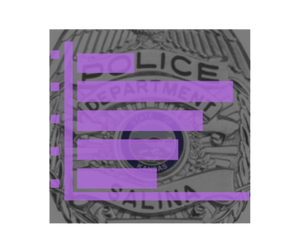 Salina Police Incident Report (July 29)
