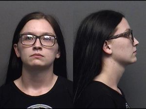 Saline County Jail Booking Activity - Tuesday