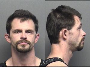 Saline County Jail Booking Activity - Thursday