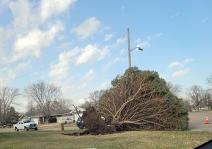 82 MPH Wind Gust Recorded In Salina