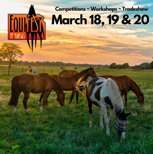 Equifest 2022