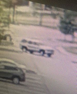 Catalytic Converter Theft is this Week's Crimestoppers