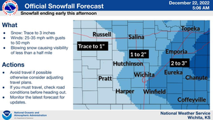 Snowfall Forecast