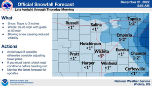 Snowfall Forecast