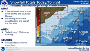Snowfall Forecast