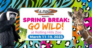 Spring Break at RHZ