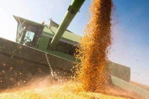 Crop Insurance