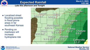 Rainfall Forecast