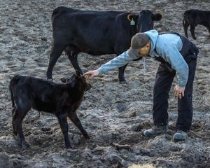 Celebrating our Farmers and Ranchers