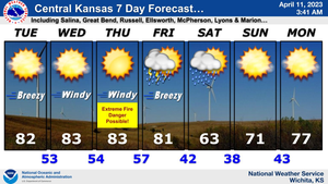 7 Day Forecast