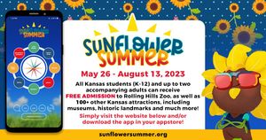 Sunflower Summer