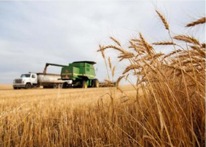 Kansas National Farmers State Farm Meeting: Better Marketing through Negotiation Strategies