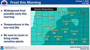 Frost This Morning