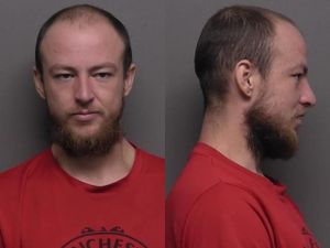 Man Arrested After Witness Reports Possible Animal Cruelty