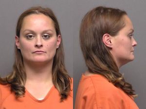 Alleged Domestic Disturbance Leads to Arrest