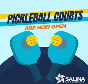 Pickleball, Anyone?
