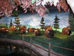 Escape the Chill at Rolling Hills Zoo