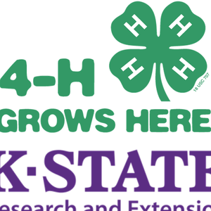 CKD 4-H Club Day Results