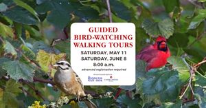 Guided Bird-Watching Tour at Rolling Hills Zoo