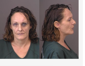 Woman Arrested for Public Nudity Incident in Salina
