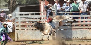 Brookville Celebrates Labor Day