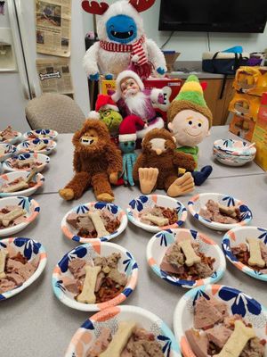 Santa and Friends Bring Thanksgiving Cheer to Salina Animal Shelter