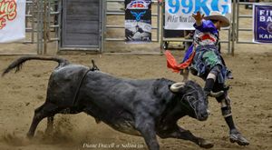 American Bull Fighting Championships