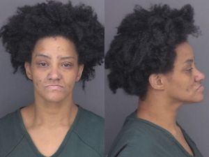 Update: Fugitive Amanda Vinardi Returned to Custody