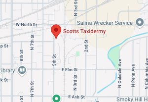 Fire at Scott's Taxidermy Under Investigation as Possible Arson