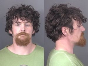 Man Arrested for Vehicle and Retail Theft in Salina