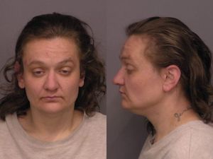 Woman Arrested After Alleged Threat to Kill Neighbor's Dogs, Burn Down House