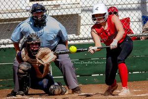 Ell-Saline vs Remington (Softball)