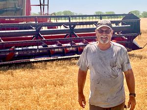 Timely Rains Produce Good Wheat, Happy Corn, Despite Current Heat